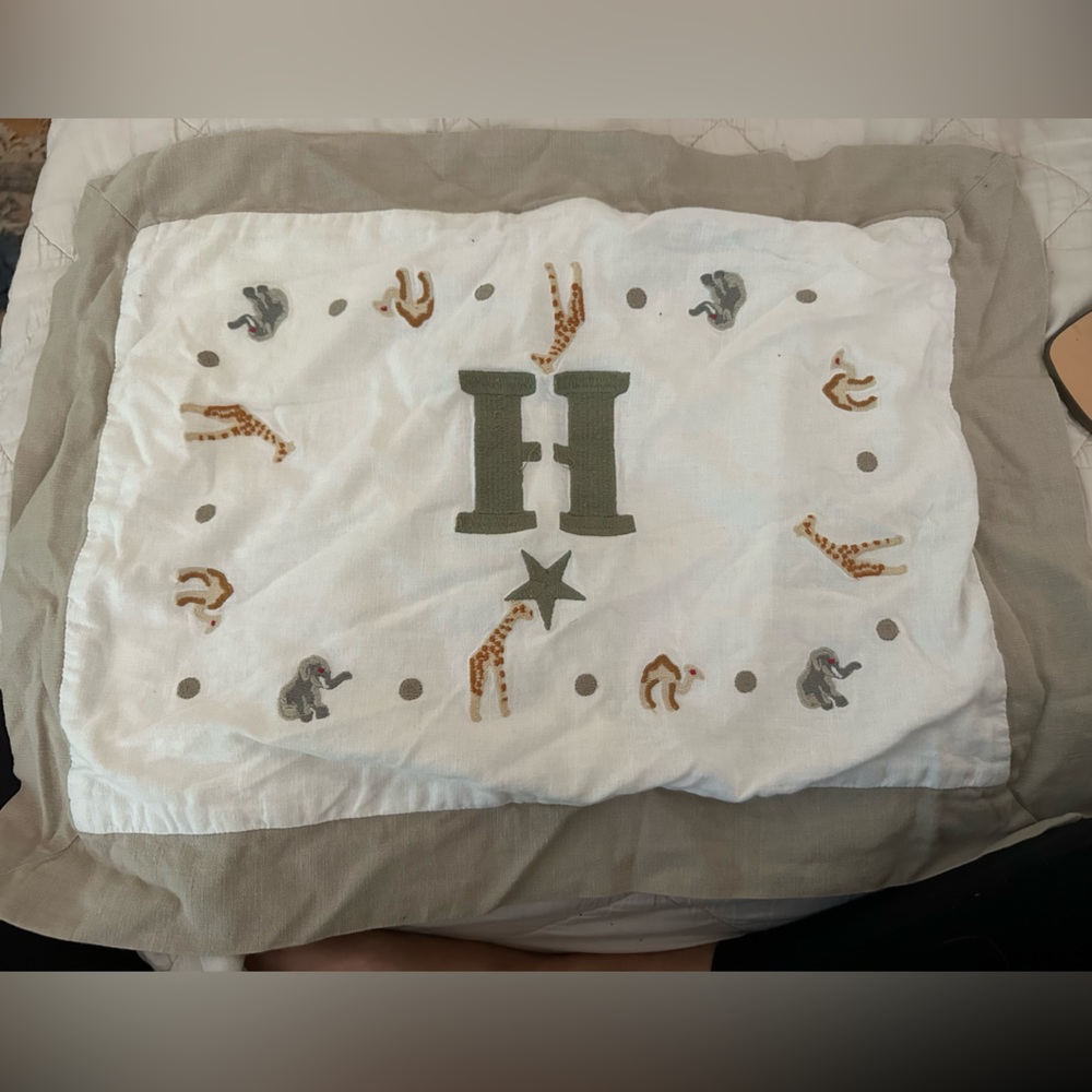 Restoration Hardware Baby H pillow case